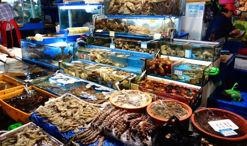 Trang bị vật dụng bảo quản đặc thù của kinh doanh hải sản tươi sống